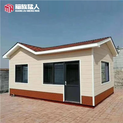Light Steel Style Villa House